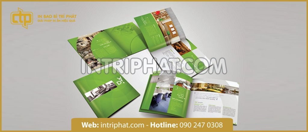 thiết kế in ấn catalogue