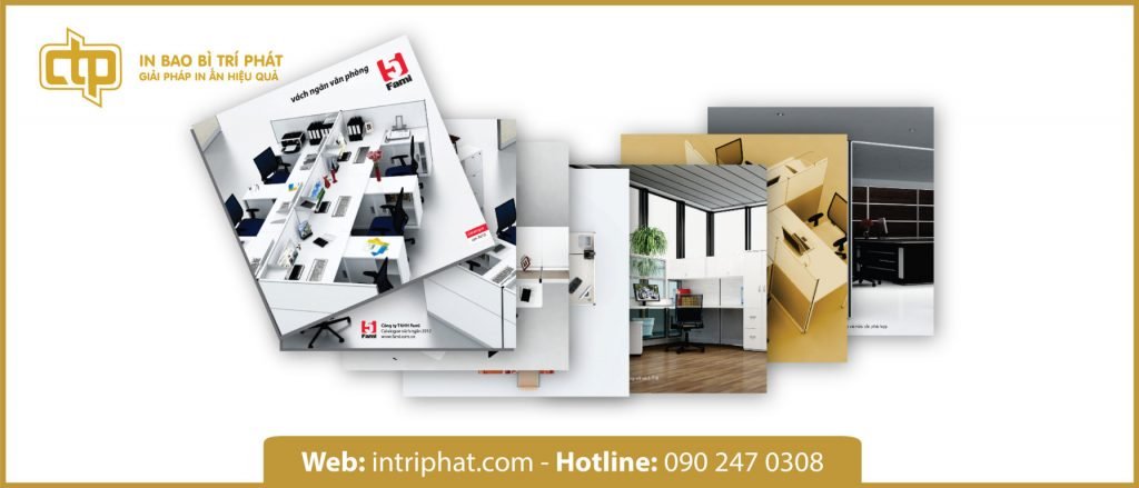 in catalogue tại tp hcm
