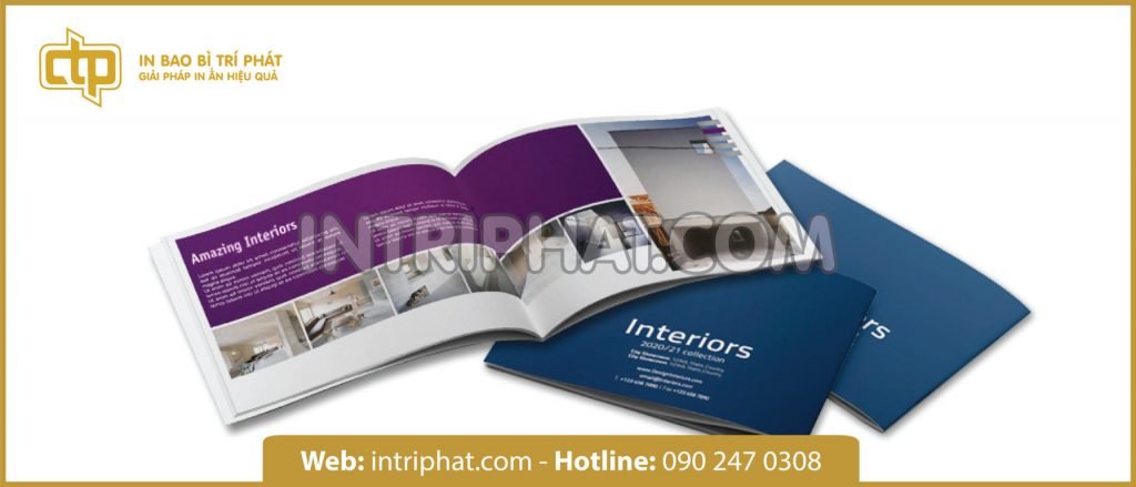 in catalogue giá rẻ