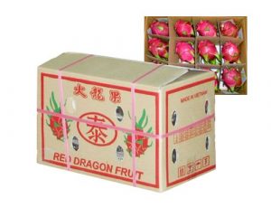thung-dung-thanh-long-nbt