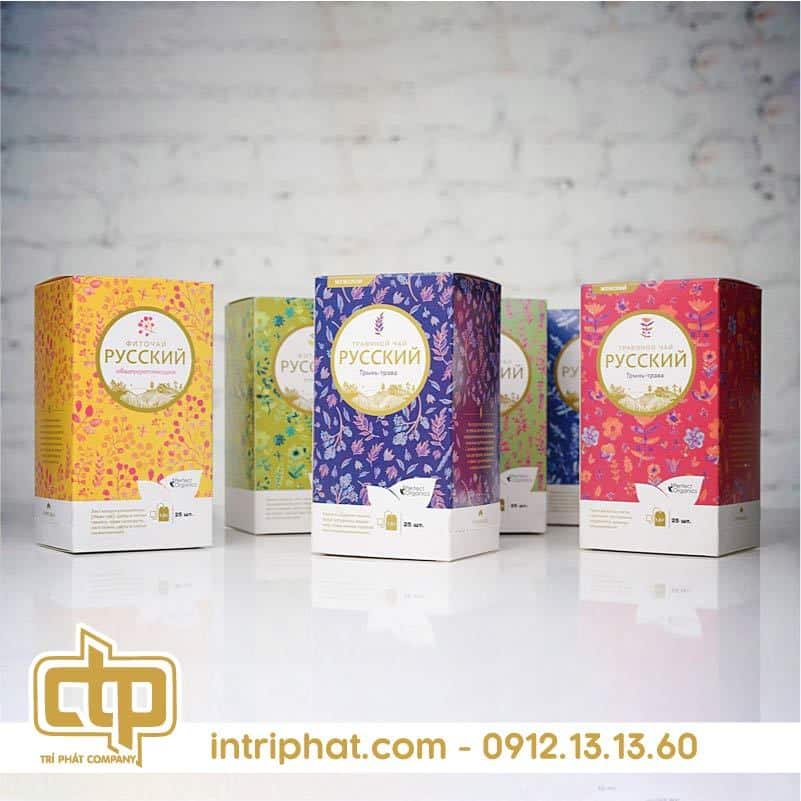 mẫu in hộp giấy tại In Bao Bì Trí Phát