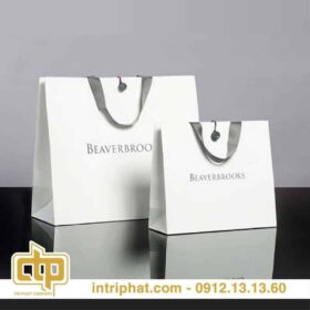 in túi giấy đựng mỹ phẩm