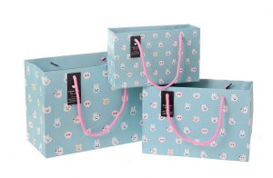 mẫu-in-túi-giấy-đẹp-cho-shop