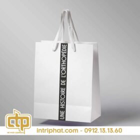 in túi giấy giá rẻ