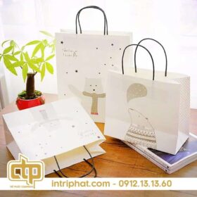 in túi giấy đựng mỹ phẩm đẹp