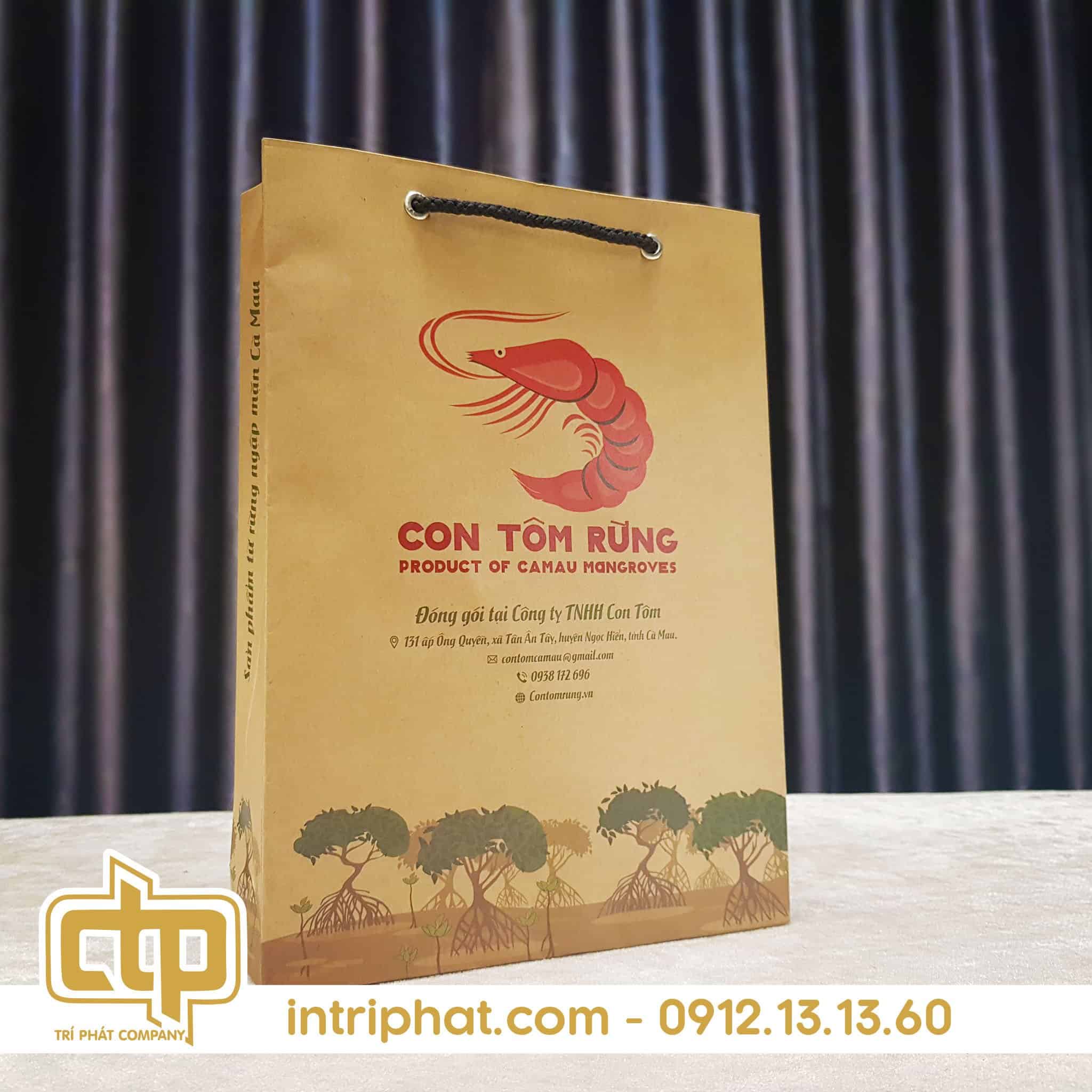 túi giấy kraft có sẵn