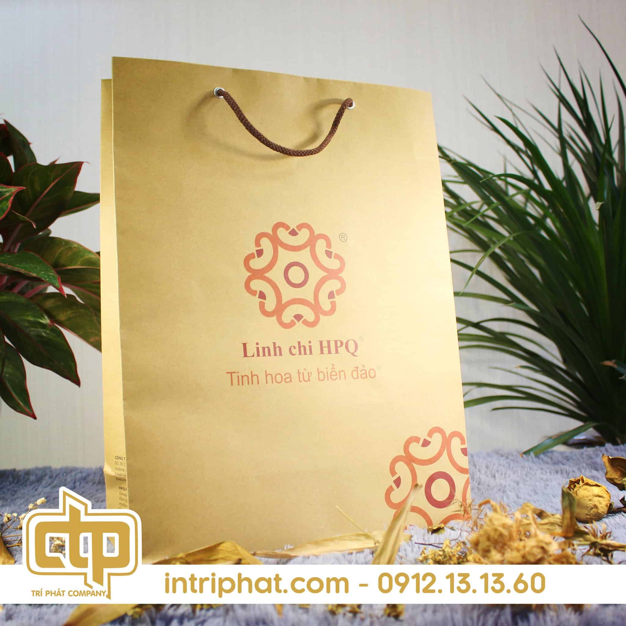 in túi giấy kraft giá rẻ hcm