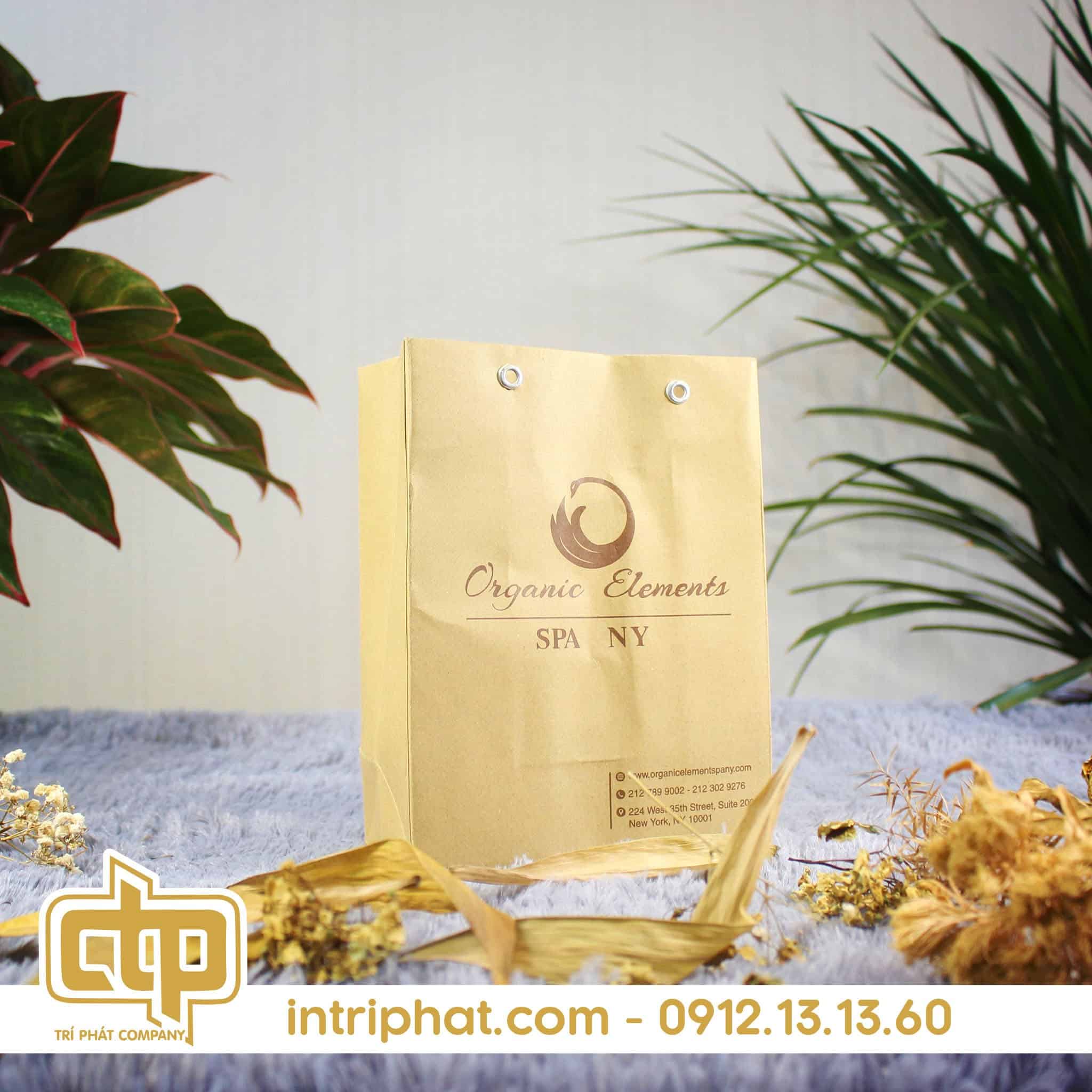 in túi giấy kraft tại Tân Phú