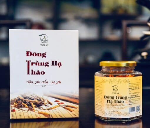 in hộp đựng Đông Trùng Hạ Thảo