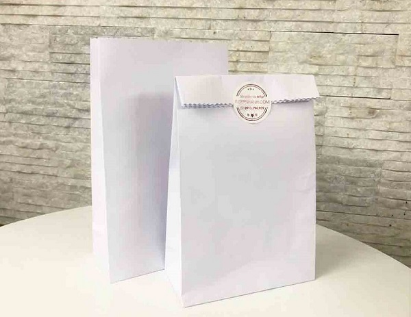 Mẫu túi giấy kraft trắng đẹp