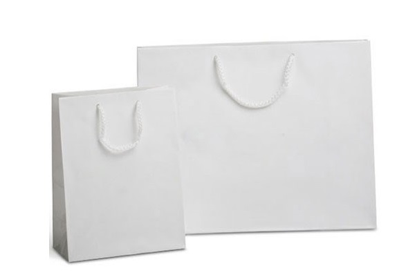 Mẫu túi giấy kraft trắng đẹp