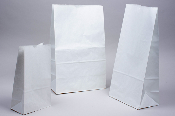 Túi giấy kraft trắng sang trọng