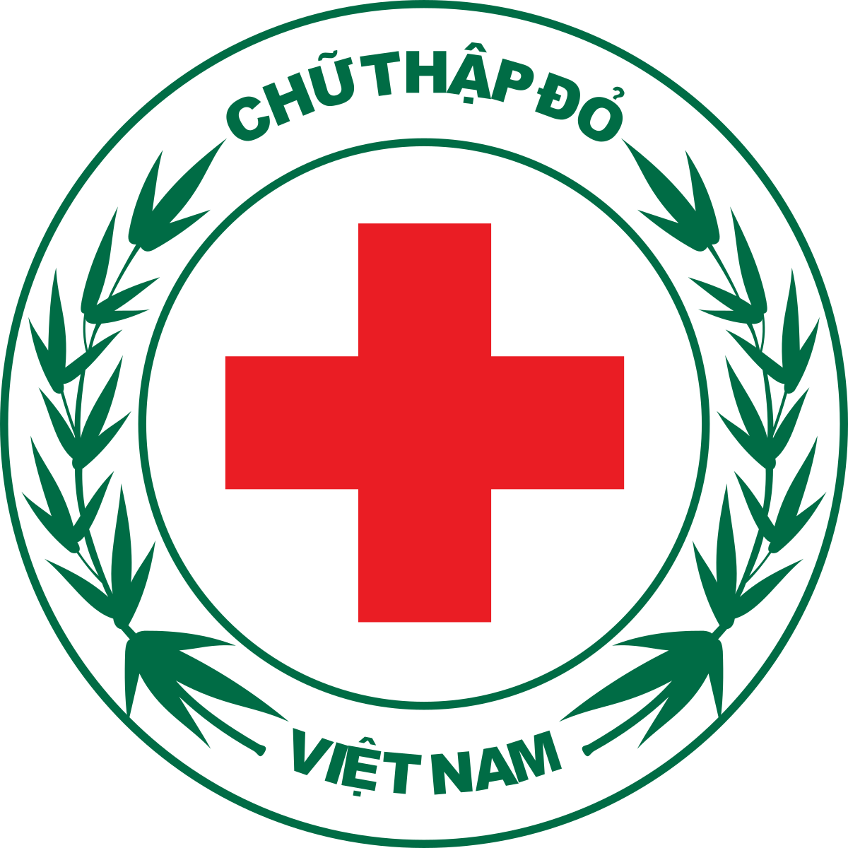 logo chữ thập đỏ