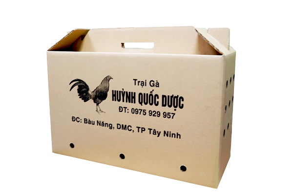 mẫu thùng carton đẹp có quai